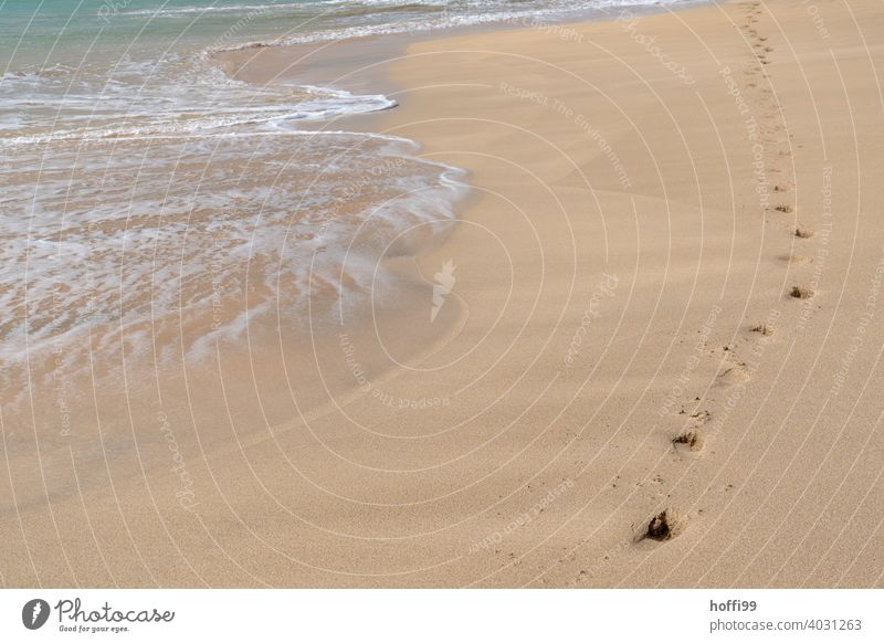 Footprints in the sand on the beach - the waves gently lapping ashore footprints Sandy beach Surf shallow water Waves Swell Beach Water Ocean Horizon Shallow