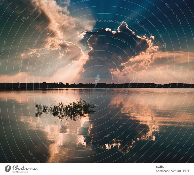 Always the same Landscape Sky Nature Mirror Clouds Lake naturally Perspective Vantage point Water Sunset Background lighting Light Dramatic Peaceful