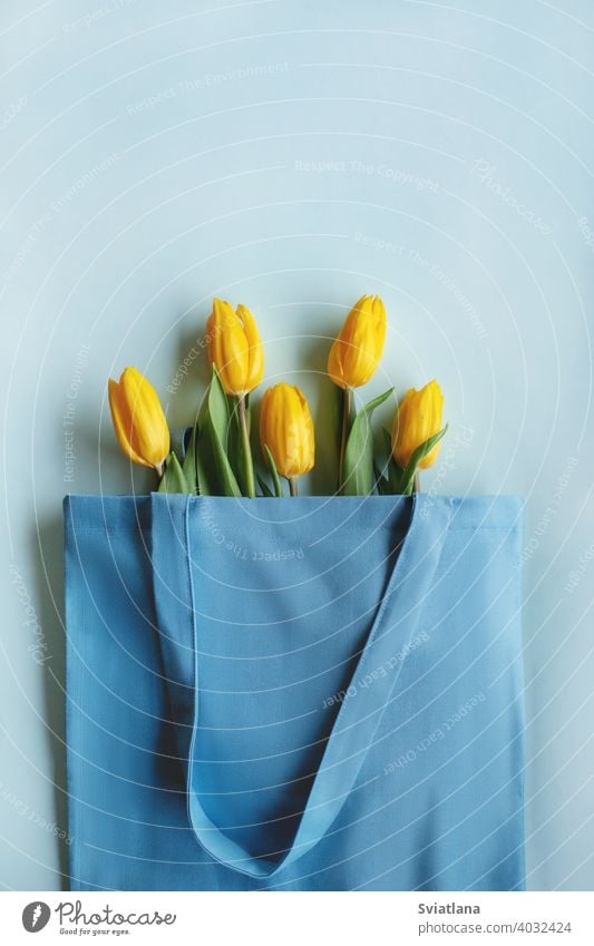 A bouquet of yellow tulips on a blue background with space for text. Top view. Valentine's Day, Women's Day, Mother's Day beautiful flower spring nature holiday