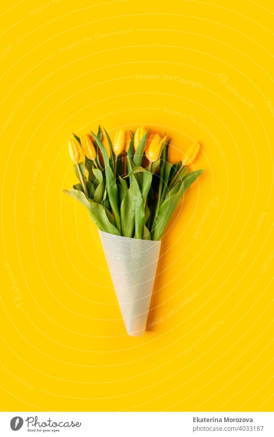 Yellow tulip flowers bouquet on yellow background. Flat lay, top view, copy space. Banner for seasonal holiday, springtime concept, International Woman day, 8 march, Happy Easter greeting card