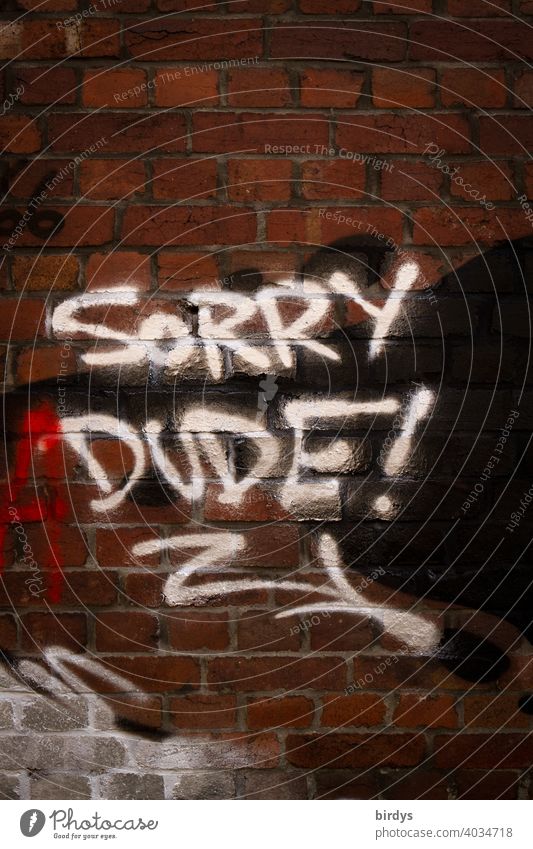 Sorry Dude, graffiti in English writing. Sorry dude! Apology buddy friendship jargon sorry Graffiti Brick wall Characters Scene Youth culture fellowship Fair