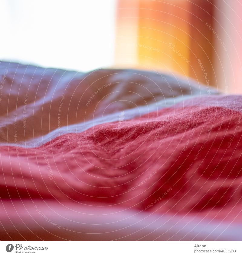 unhealthy | hanging around in bed all day Bed Bedroom Cuddly Lie Cozy White Red Wake up Room Cloth Sleep Morning Duvet Warmth Soft Living or residing Pink