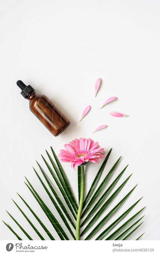 A brown cosmetic bottle, a pink flower and a palm leaf on a white background. Bottle Cosmetics Skin care Cream Personal hygiene Style Spa Wellness Flower Pink
