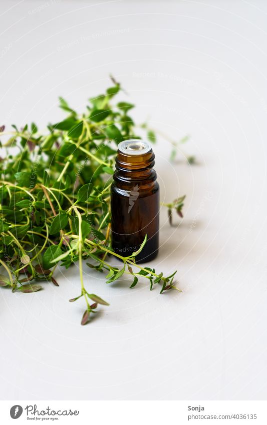 Fresh thyme and a brown glass bottle on a white background Thyme Green Raw Herbs and spices Healthy Glassbottle Herbal medicine naturally kitchen herbs Plant