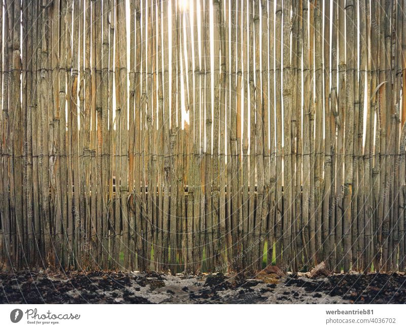 Weathered old garden reed fence gardening weathered damaged scratched security safety sunny opaque culture natural traditional nature park beige season pattern