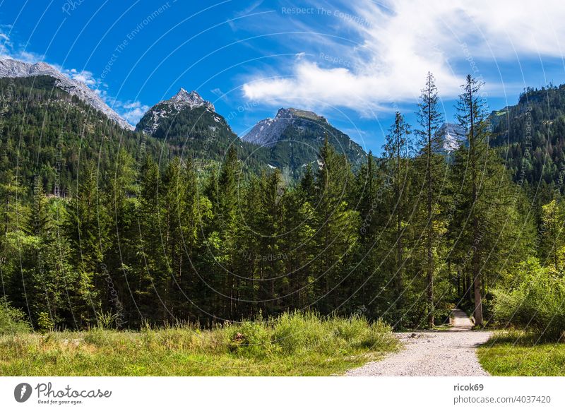 Landscape in the Klausbach valley in Berchtesgadener Land Klausbachtal hiking trail Berchtesgaden Country Bavaria Alps mountain Tree Forest Nature off path