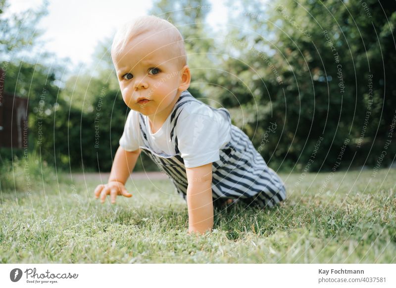 cute toddler crawling on lawn adorable baby boy child childhood emotions explore exploring expression family fun garden grass green happiness happy human kid