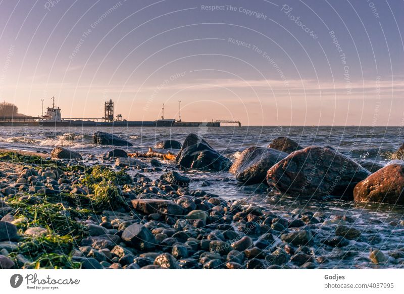 Beach with rocks near an industrial harbour Harbour Industry Crane Sky Dusk Clouds Jetty Container Logistics Container terminal Exterior shot Navigation Vierow