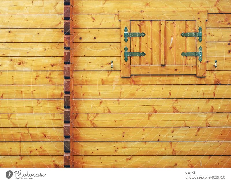Sealed bulkheads Building Log cabin Rustic House (Residential Structure) Protection Facade Hut closed window Wooden hut Deserted Close-up Detail Exterior shot