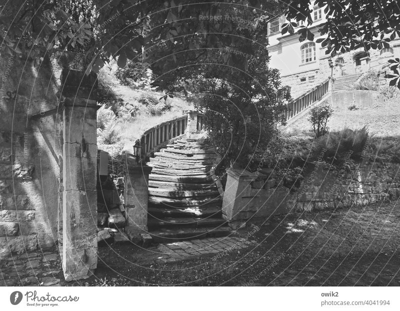 upward trend Black & white photo Stairs Banister Stone Old Historic Tourist Attraction Deserted Sunlight Long shot Park distinguished Grand Palace Villa Garden