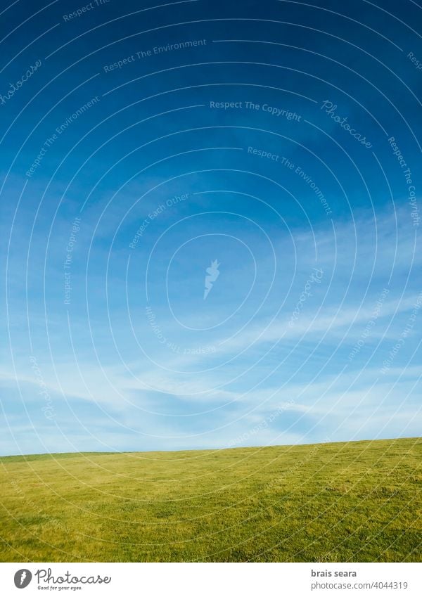 Green field and blue sky grass green freedom energy tranquil freshness hill country idyllic copy space wallpaper farming environment beautiful sunny natural