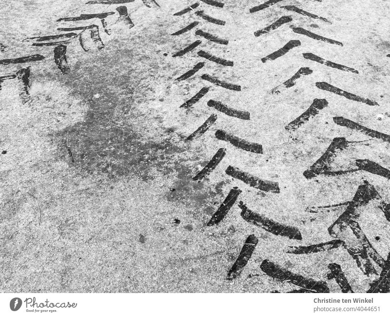Dark tire tracks on gray asphalt Skid marks Asphalt Gray Black Monochrome Tracks Structures and shapes Traffic infrastructure Pattern Line Lanes & trails
