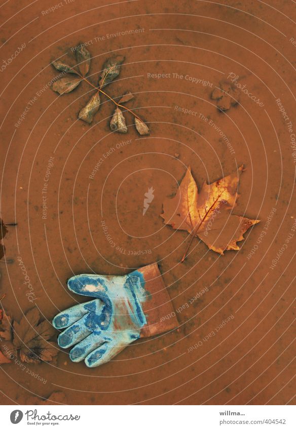 dirty still life Leaf Work gloves Puddle Maple leaf Wet Brown Turquoise Doomed Gloves Dirty Still Life construction gloves Leave behind Bird's-eye view