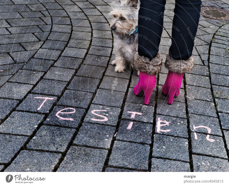 A woman with pink boots and a little dog are waiting to be tested! Street covid-19 coronavirus pandemic Healthy Contagious Illness Feet Boots Modern Dog Animal