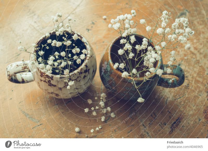 Two pottery cups with gypsophila on an old wooden table Decoration Still Life Baby's-breath Cozy Subdued colour at home Light Lifestyle creative ornamental