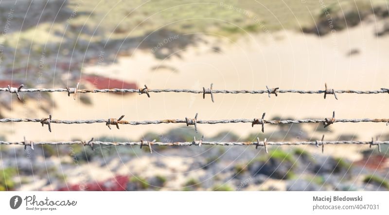 Close up picture of rusty barbed wire. fence barrier border land prison protection wilderness old outdoors security symbol rural frontier restriction safety