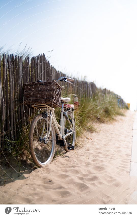 Fahrrad auf Strand Lifestyle Vacation & Travel Tourism Freedom Summer Summer vacation Beach Cycling Warmth Drought Bushes North Sea Bicycle Relaxation Authentic