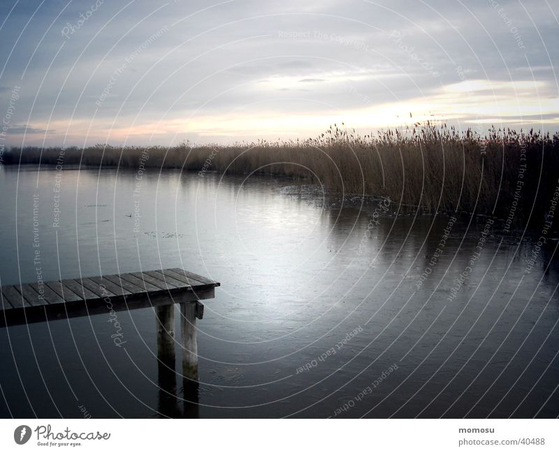 Lake Neusiedl Rust Morning Common Reed Water Footbridge Dawn