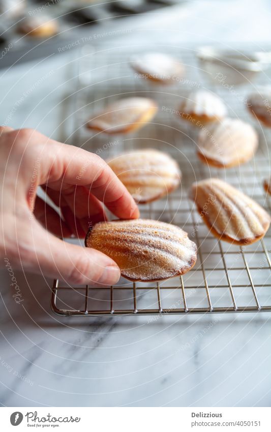 A female hand grabbing a freshly baked madeleine from a cooling rack on marble table madeleine cakes baking food home made sweet delicious sugar snack