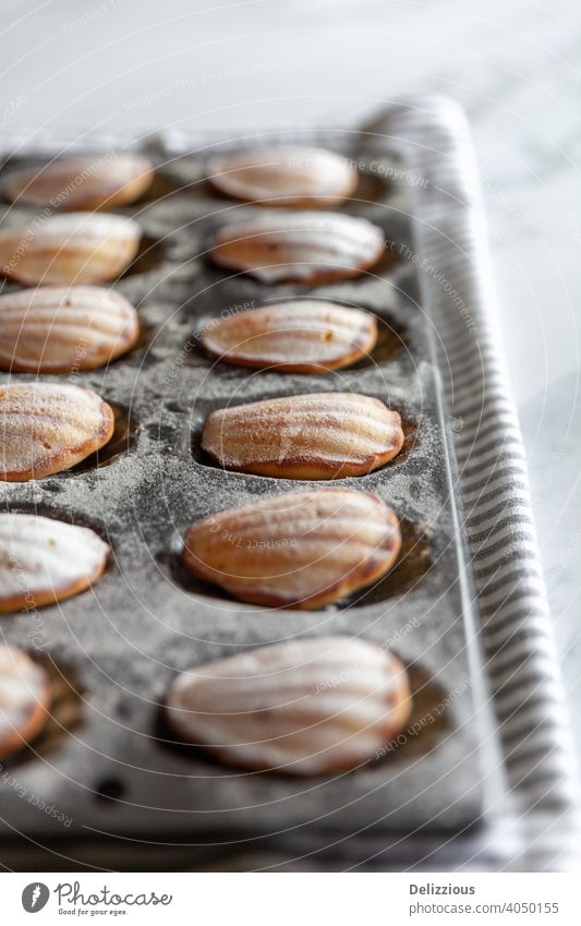 Close-up of freshly baked madeleine cakes in a tin on dish towel on a white marble background baking food home made sweet delicious sugar snack baked goods