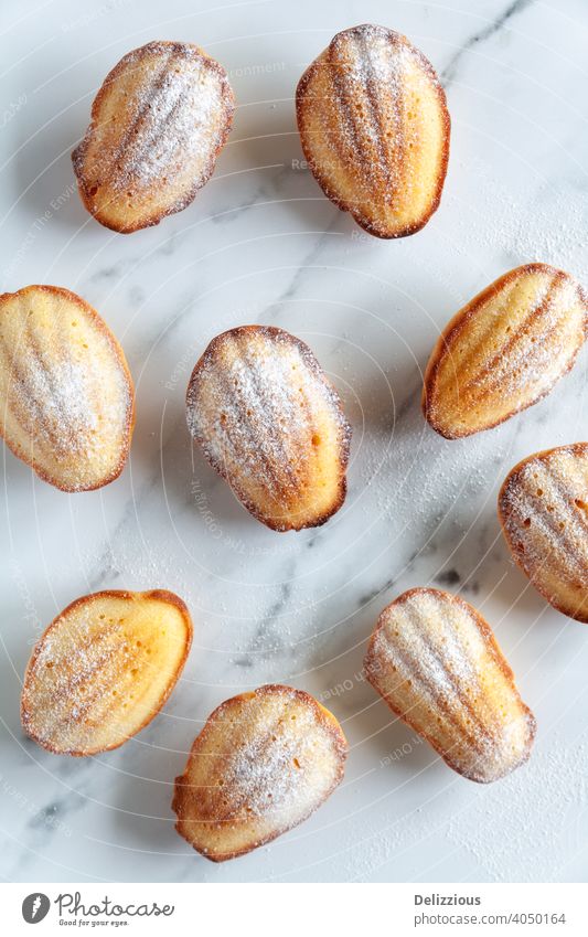 Close-up from above of freshly baked madeleine cakes dusted with icing sugar on a white marble background baking food home made sweet delicious snack