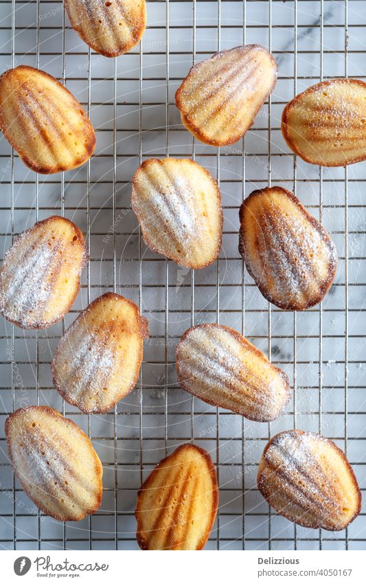 Top down full frame image of madeleine cakes dusted with icing sugar on a cooling rack on white marble surface baking food home made bake sweet delicious snack