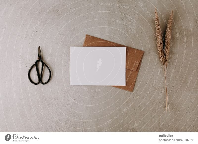 Blank white paper with brown envelope on grey stone background with metal scissors and dried flowers. Flat lay top view. Natural colours. blank note letter