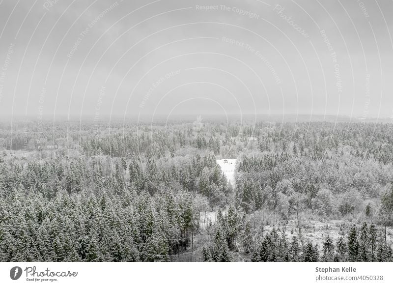 AERIAL: Flying over frozen snowy treetops towards countryside isolated little house in the middle of a snow covered forest in panoramic view. Winter nature