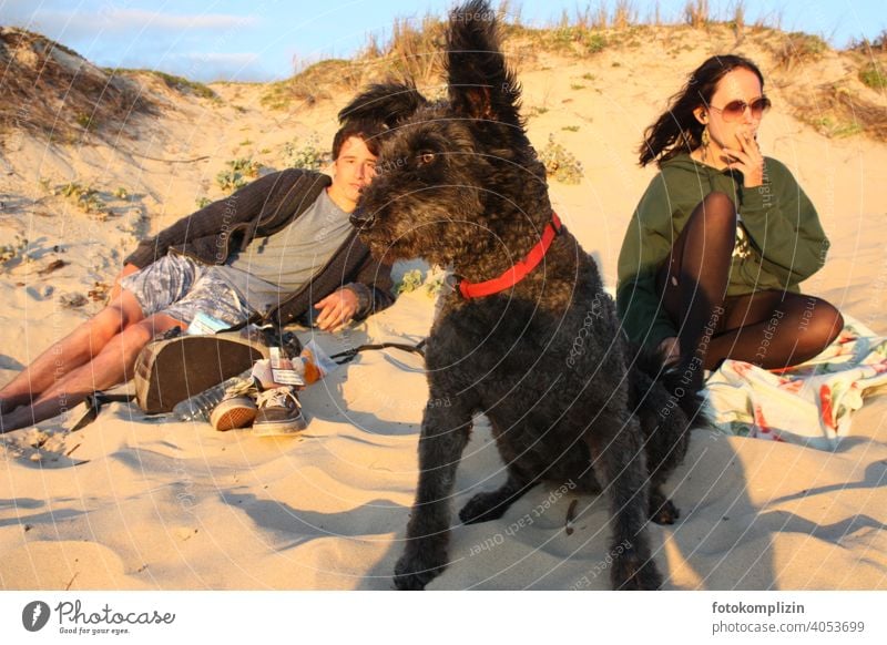 two teenagers with dog in a sand dune Dog chill relax Friendship Feeling of togetherness look Vacation & Travel Beach Sand Lie Goof off Pet Social life holidays