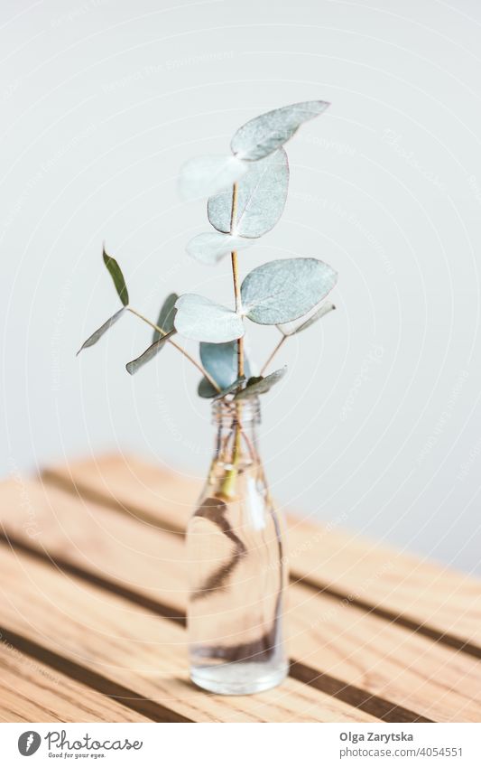 Little glass bottle with branch of eucalyptus. vase minimal table hygge decor style selective focus background little floral blue soft stem wooden