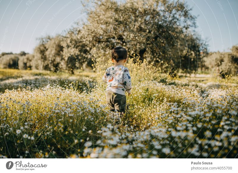 Rear view child on flower meadow Unrecognizable Child 1 - 3 years Spring Spring fever Spring flower Flower meadow Blossoming Human being Garden Exterior shot