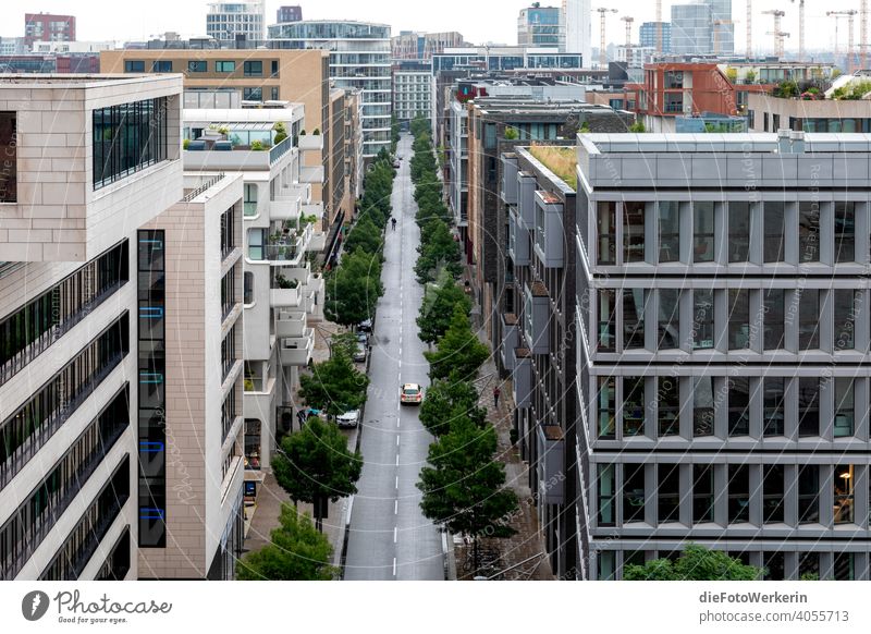 View from above over an avenue in the city Architecture Germany out Europe Hamburg Northern Germany location Town Street Gray Avenue trees