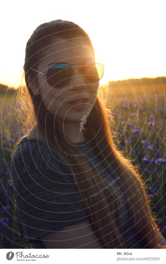 Summer Evening Portrait Nature Environment Landscape Grass Wild plant Long-haired Brunette Sunglasses Field pretty Warmth Beautiful weather Cornfield Moody