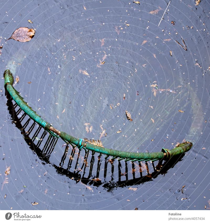 Lost - Looks like the Cheshire Cat, but it's an old lawn chair that's been thrown into an abandoned pool and frozen in the winter. Garden chair Chair