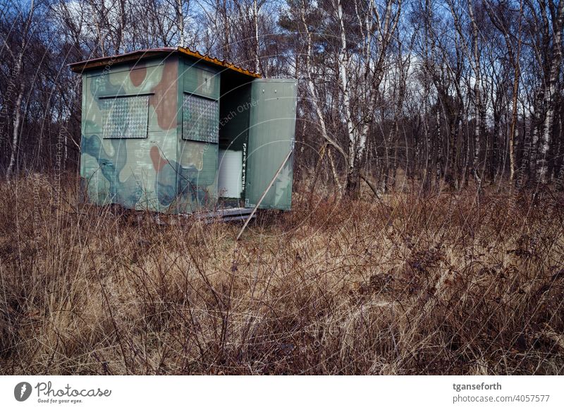 Hunter's hut in the moor Hunting hide mobile Bog Birch wood Colour photo Exterior shot Nature Landscape Deserted Birch tree Forest Environment Beautiful weather