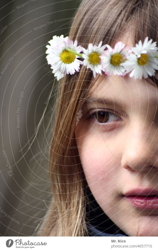 Flowers in the hair Feminine Youth (Young adults) Flower wreath Summer Hair and hairstyles Authentic Blossom naturally Fresh pretty Curiosity Observe