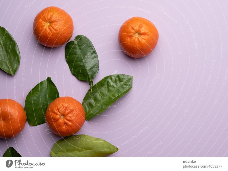 ripe tangerines and green leaves on a purple background, top view flat mandarine set group orange food vitamin freshness whole raw closeup leaf tropical citrus