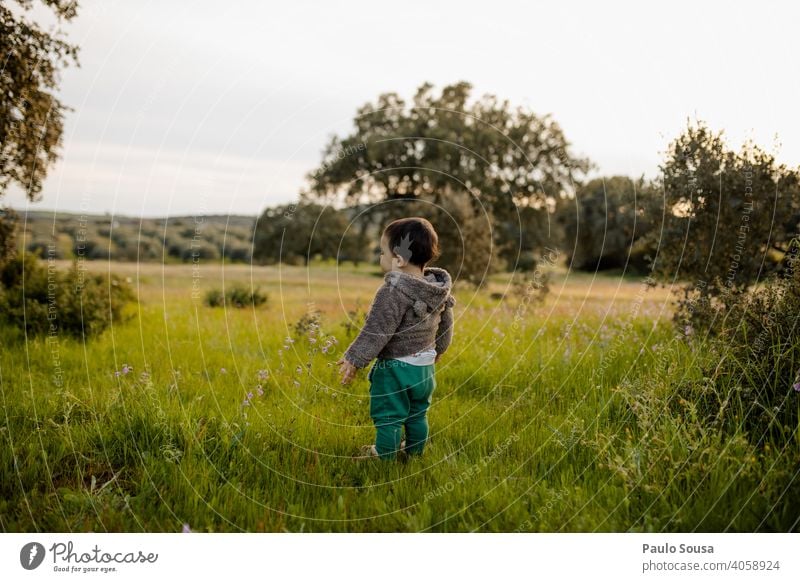 Rear view child standing in the fields Child childhood Stand Caucasian 1 - 3 years Spring Spring fever Meadow Multicoloured Lifestyle Human being Authentic