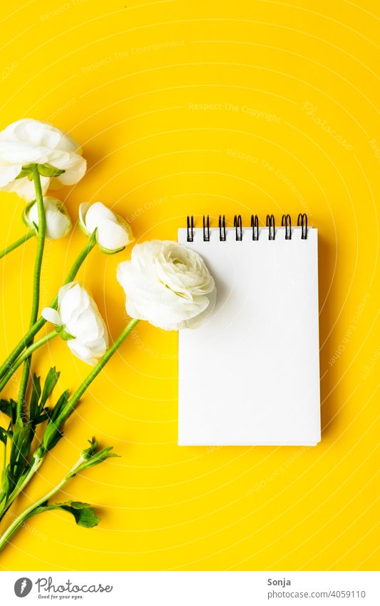 A blank notepad and white ranunculus on a yellow background. Flat lay. Notebook Empty White Buttercup flat lay Vertical Spring Background picture Style Flower