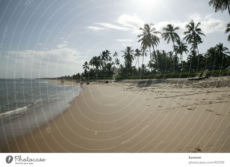 Beach Brazil 01 Ocean Palm tree Physics Waves Surf Green Clouds Sand Sun Warmth Water Blue Sky