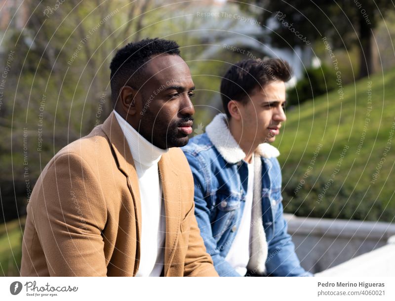 Two men looking serious and pensive. Afro-american and caucasian man. talking 2 conversation sitting beard cheerful discussion person hipster happy
