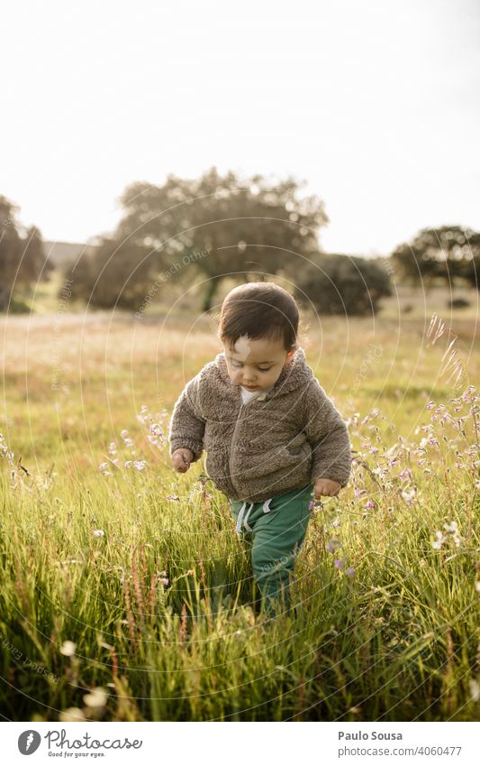Child walking through flower meadow Caucasian 1 - 3 years Authentic Nature Natural Environment Spring Spring fever Spring flower explore Multicoloured Blossom