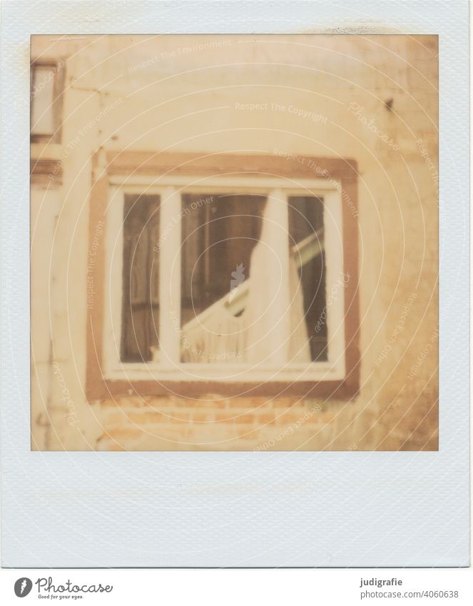 Windows of a house in need of renovation on Polaroid House (Residential Structure) curtain rail Curtain Ruin dilapidated forsake sb./sth. abandoned building