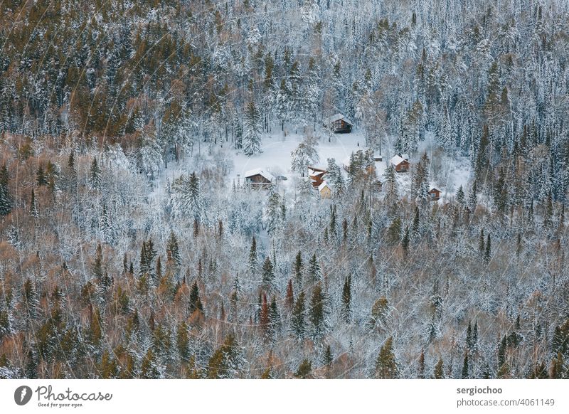 Houses in the winter forest Bird's-eye view Seasons Frost Forest Nature Environment House building House (Residential Structure) Hiking Mountain wood country