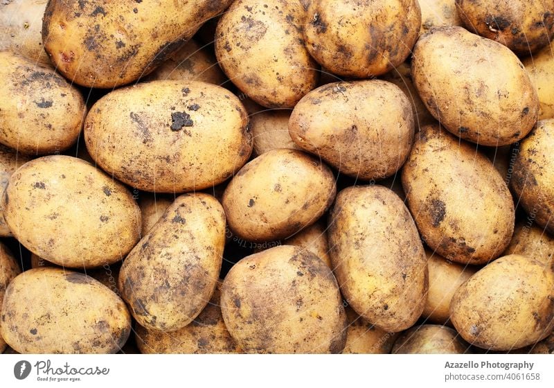 Organic potatoes without GMO. agriculture background brown bunch closeup cooking delicious diet eat farmers farming food fresh green groceries group harvest