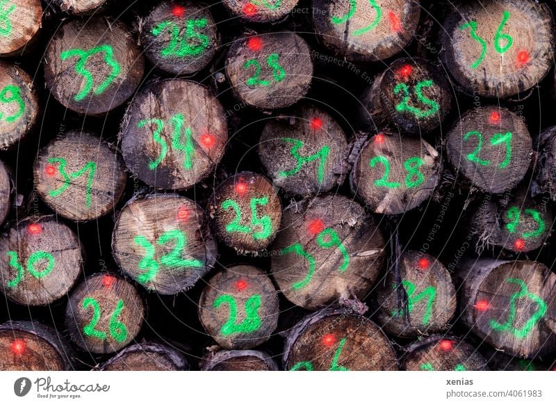 Many felled tree trunks are marked according to their diameter with green luminous numbers and red dots Tree trunk Wood Diameter figures Digits and numbers