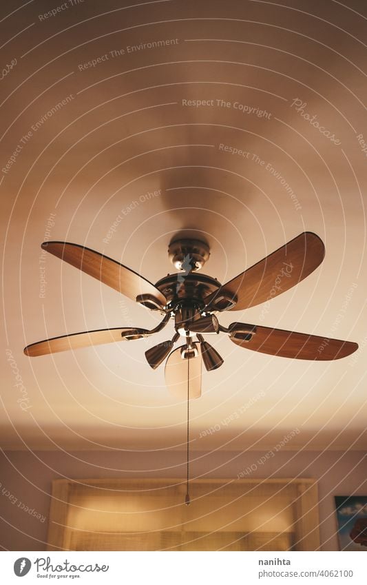 Wooden roof fan inside a home decor summer fresh light decoration arquitecture natural natural light brown warm tones warmth wood wooden retro vintage