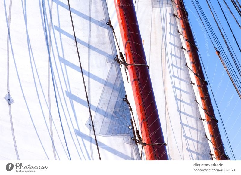White sails in the sunshine Europe colors Bright Landscape Madraque Ocean Nature Netherlands ship Lake Sail Sailing Mud flats Blue Pole Shadow