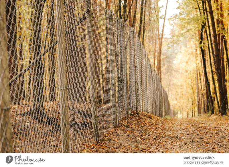 House fence Iron and outdoor. metal fence in the autumn sunny park. selective focus. protection tree summer texture nature construction spring beach background