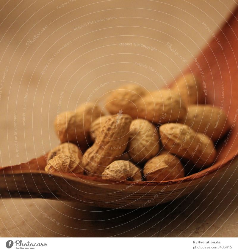 A peanut, please. Food Peanut Brown Bowl Sheath Beige Wood Nature Natural Crowd of people Many Nibbles Snack Colour photo Interior shot Artificial light Blur